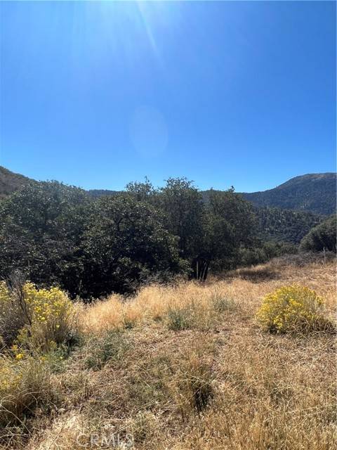 Tehachapi, CA 93561,23000 Constance WAY