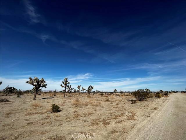 Pinon Hills, CA 92372,0 Arcadia