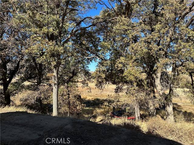 Tehachapi, CA 93561,20033 Tee CT