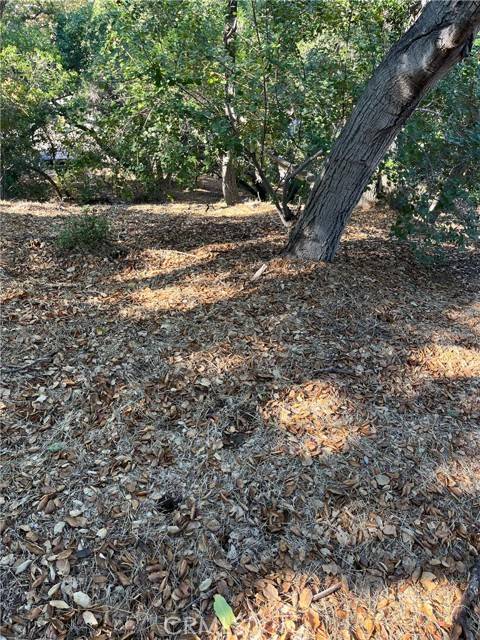 Calabasas, CA 90290,0 Lot 69 Old Topanga Canyon Rd.