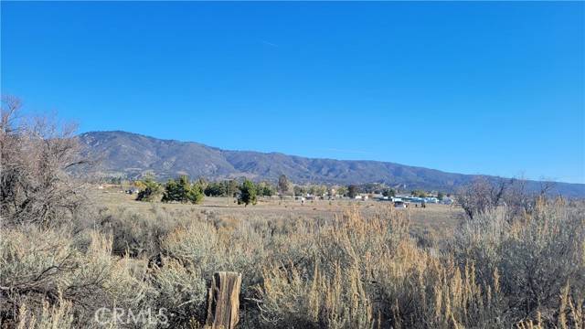 Anza, CA 92539,0 Mitchell RD