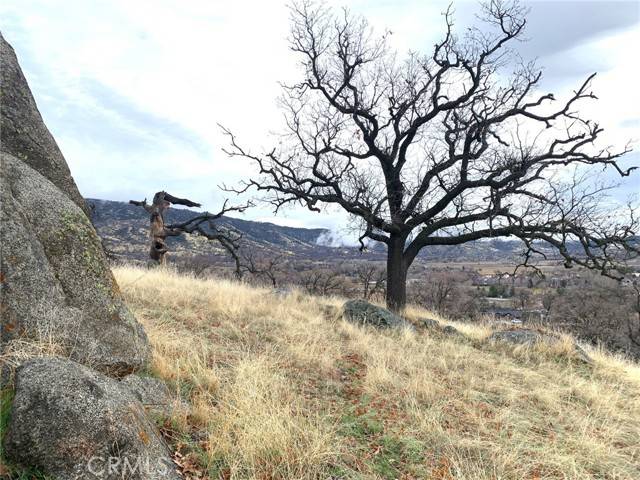 Tehachapi, CA 93561,0 Parke CT