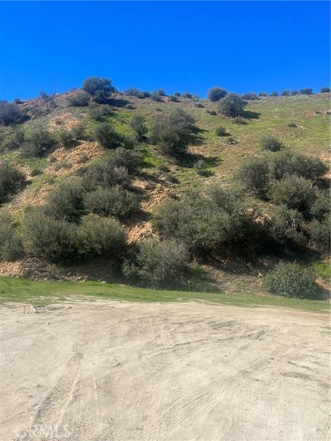 Agua Dulce, CA 91350,0 Vac/Silver Canyon Drt /Vic Oak ST