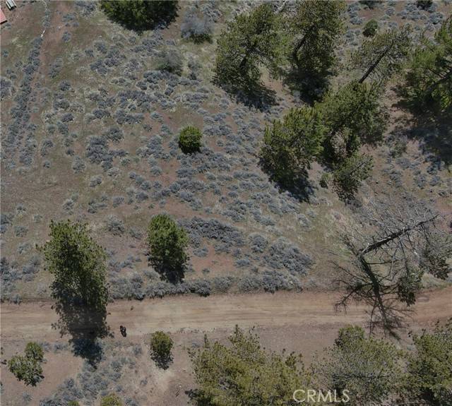 Tehachapi, CA 93561,16551 Jungfrau WAY