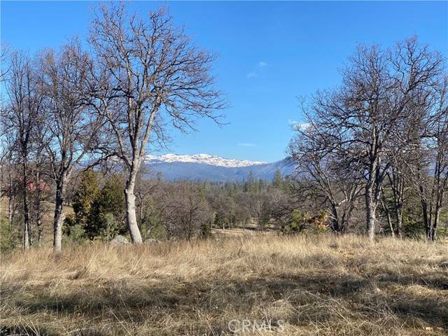 North Fork, CA 93643,0 Bird House Ct
