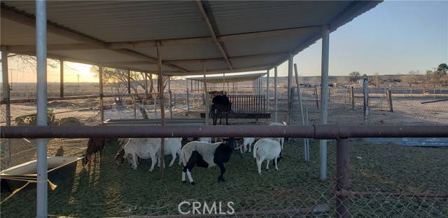 Helendale, CA 92342,16936 Wild RD