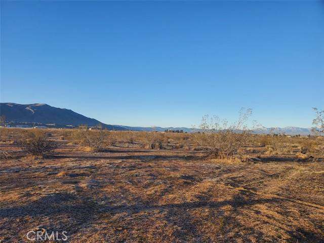 Apple Valley, CA 92308,98724 SF Via Naranja