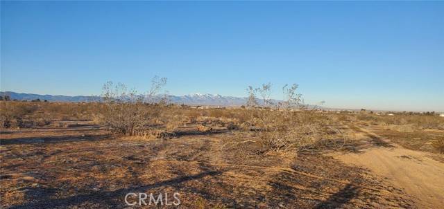 Apple Valley, CA 92308,98724 SF Via Naranja