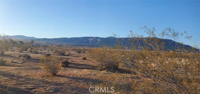 Apple Valley, CA 92308,98724 SF Via Naranja