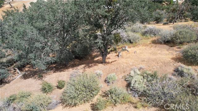 Tehachapi, CA 93561,0 Lusanne CT