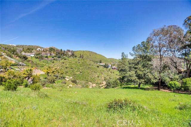 Bell Canyon, CA 91307,14 Colt LN