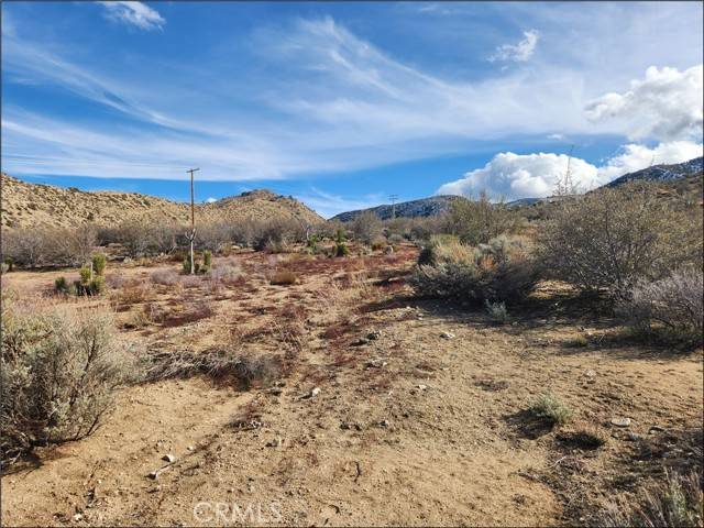 Pinon Hills, CA 92372,0 Green CT