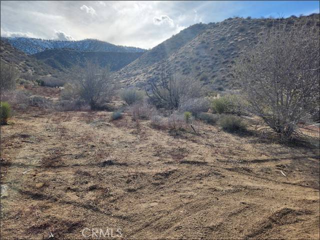 Pinon Hills, CA 92372,0 Green CT