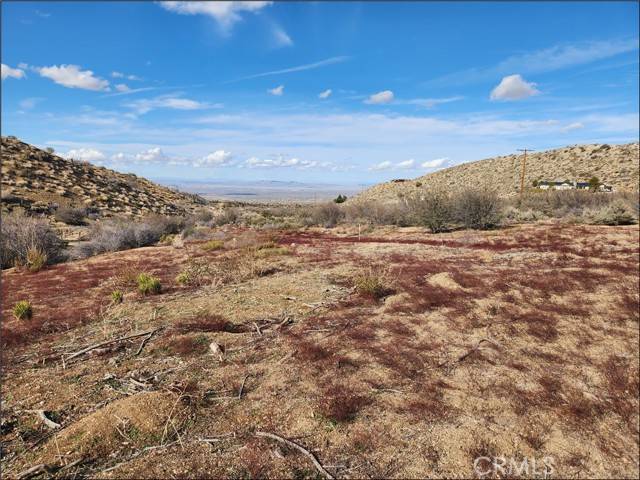 Pinon Hills, CA 92372,0 Green CT