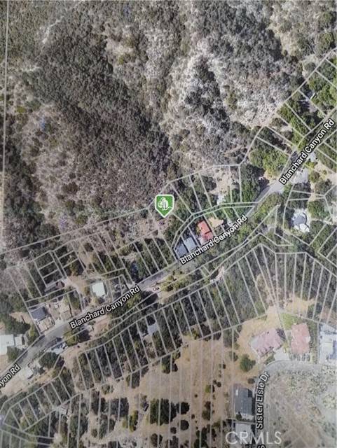 Tujunga, CA 91402,0 0 Black Walnut