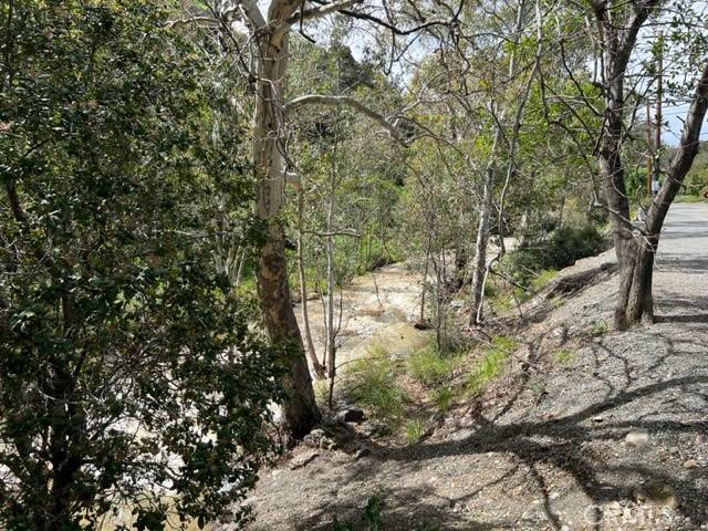 Silverado Canyon, CA 92676,28000 Uppa WAY