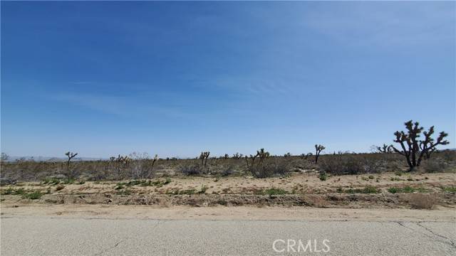 Llano, CA 93544,0 Pearblossom Hwy & 213th St E