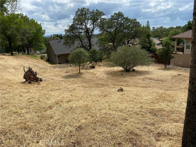 Oroville, CA 95966,0 Butte Woods DR