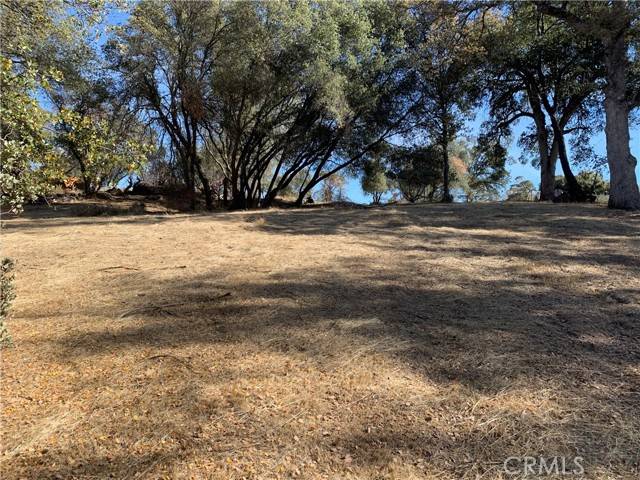 Coarsegold, CA 93614,101 W Sioux RD