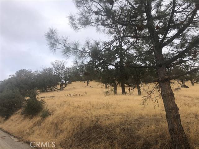 Tehachapi, CA 93561,0 Matterhorn