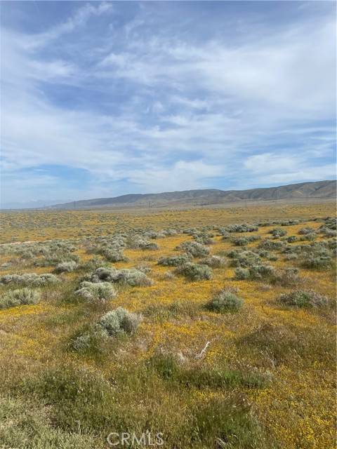 Del Sur, CA 93536,0 Vac/132 Stw/Vic Avenue I
