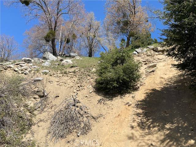 Crestline, CA 92325,147 Lot 147 Edelweiss DR