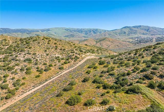 Agua Dulce, CA 91350,0 Vac/Vic Alfie Road Drt /Shallo