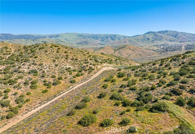 Agua Dulce, CA 91350,0 Vac/Vic Alfie Road Drt /Shallo