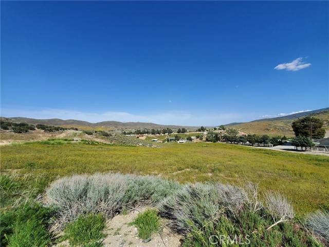 Leona Valley, CA 93551,87 Vac/87th Stw/Vic Vientos DR