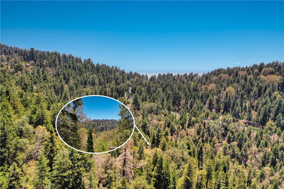 Crestline, CA 92325,63 Lot 63 Chateau DR