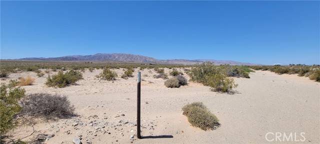 Twentynine Palms, CA 92277,0 Near Twentynine Palms Hwy