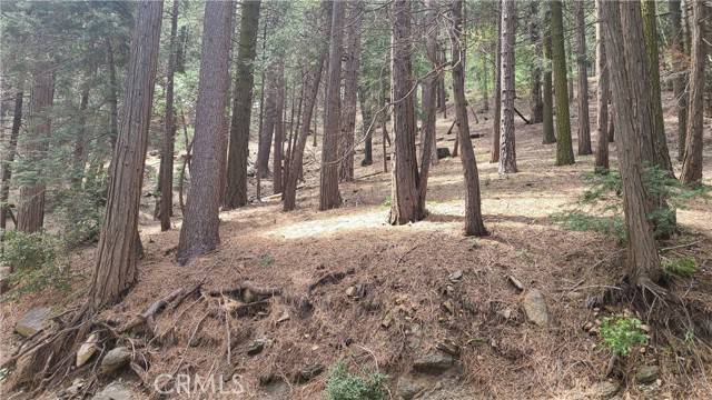 Cedarpines Park, CA 92322,44 Reservoir RD