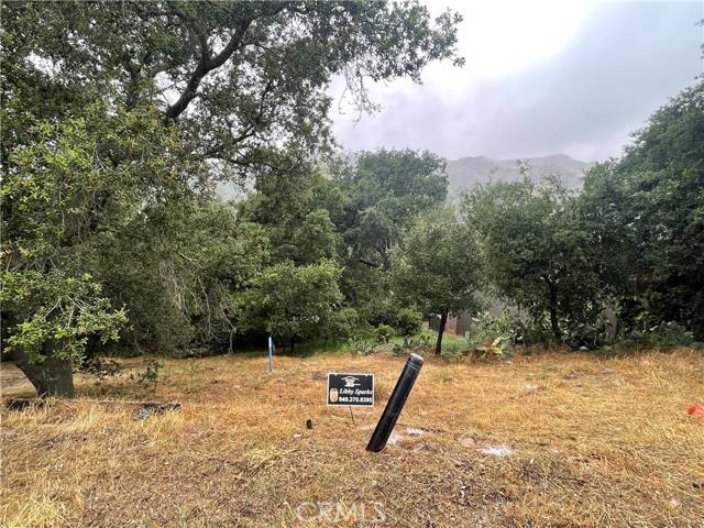 Trabuco Canyon, CA 92679,31109 Mountain View RD