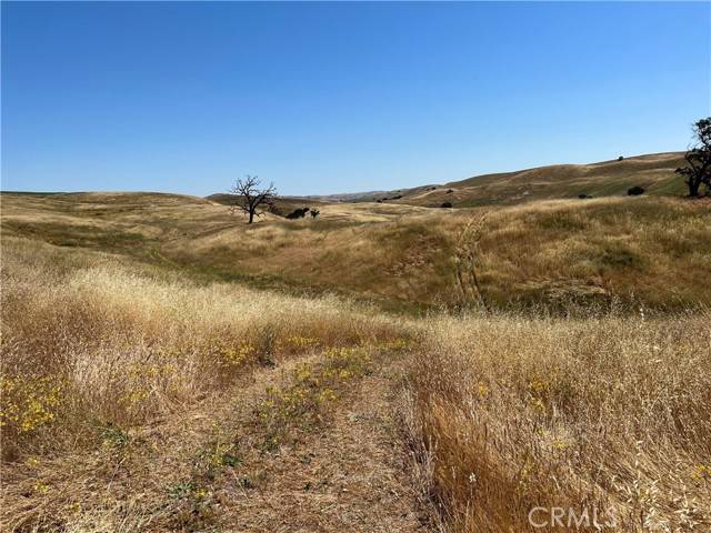 Shandon, CA 93461,3610 Shimmin Canyon RD