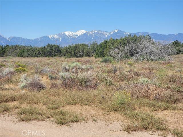 Oak Hills, CA 92344,0 Adobe