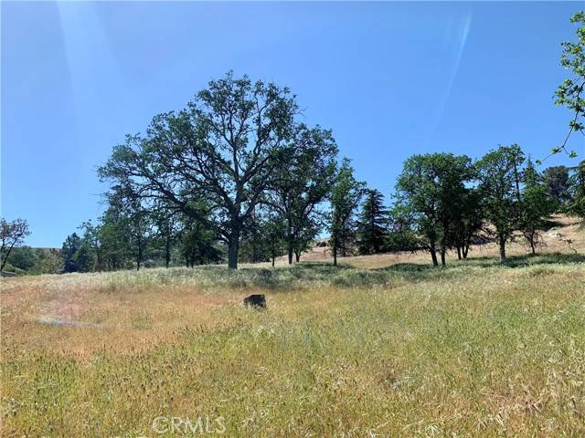 Tehachapi, CA 93561,21850 Horizon CT