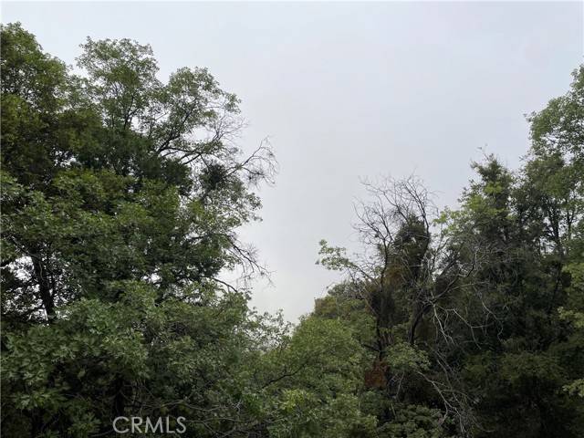 Crestline, CA 92325,79 Lot 79 Chillon