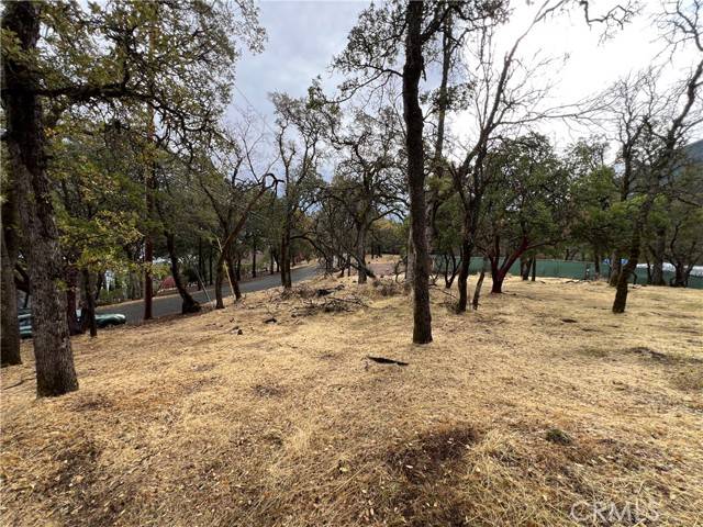 Kelseyville, CA 95451,2595 Eastlake DR