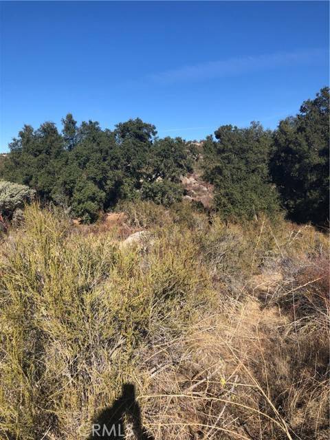 Hemet, CA 92544,3 Red Mountaain RD