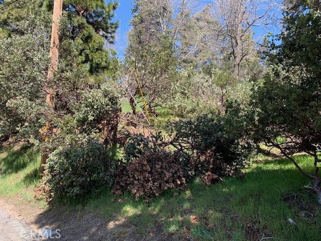 Crestline, CA 92325,0 Arth DR