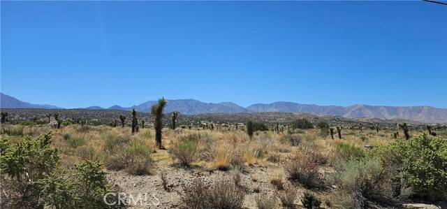 Llano, CA 93544,0 Ft Tejon/Vic Bob Gaps RD