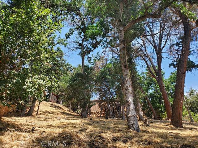 Clearlake, CA 95422,4668 W 40th ST