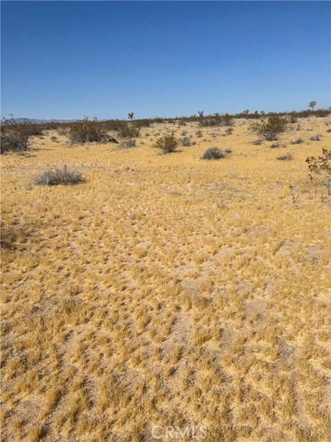 Adelanto, CA 92301,5 Mi N/O Shadow Mt RD