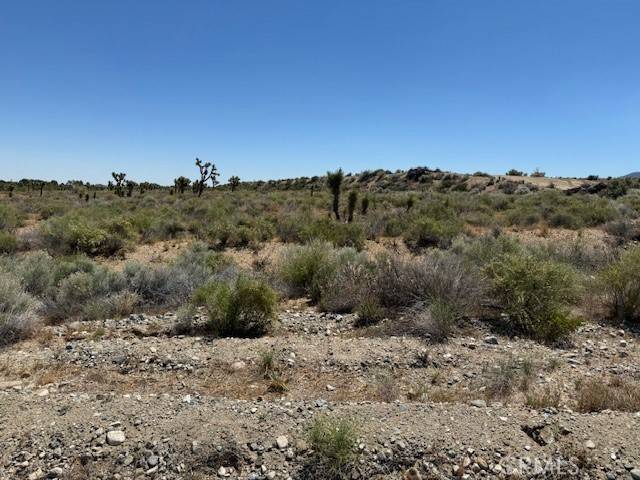 Llano, CA 93591,165 Vac/165th Ste/Vic Avenue X8