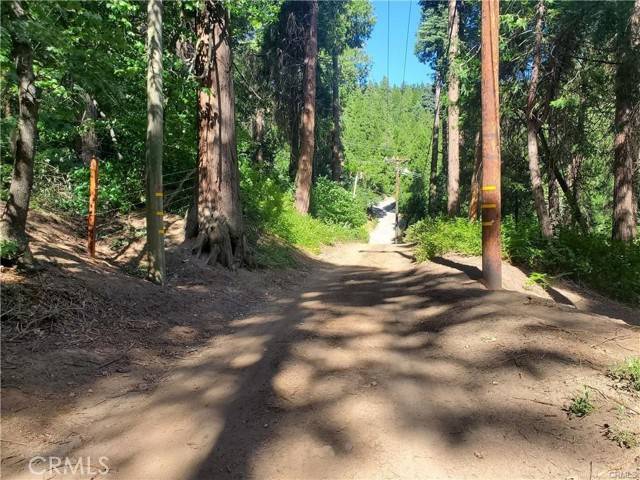 Cedarpines Park, CA 92322,47 El Valle