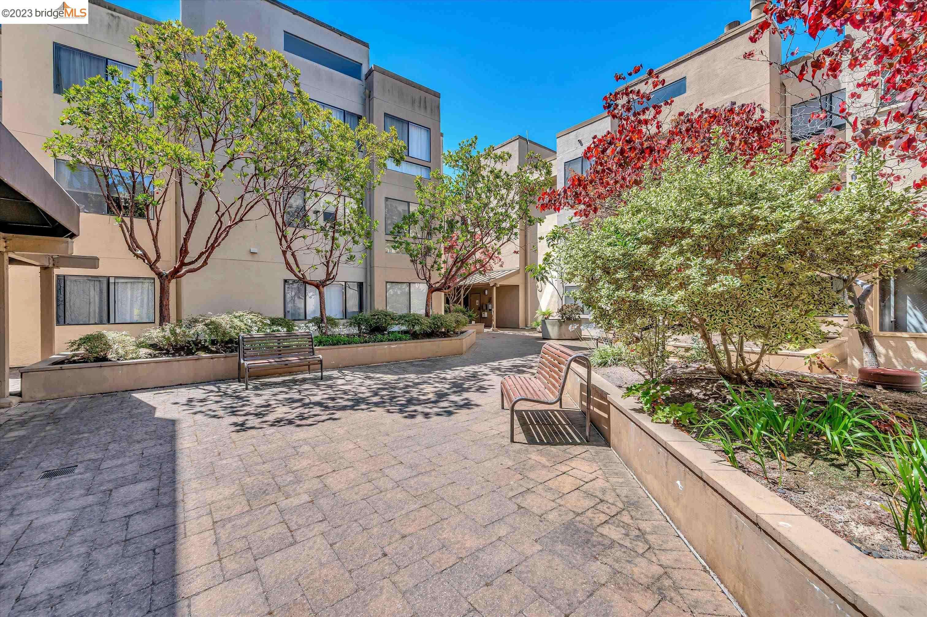 Albany, CA 94706-1101,545 pierce st 2308