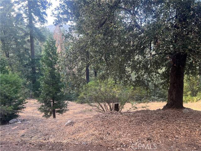 Cedarpines Park, CA 92322,0 Long Beach AVE