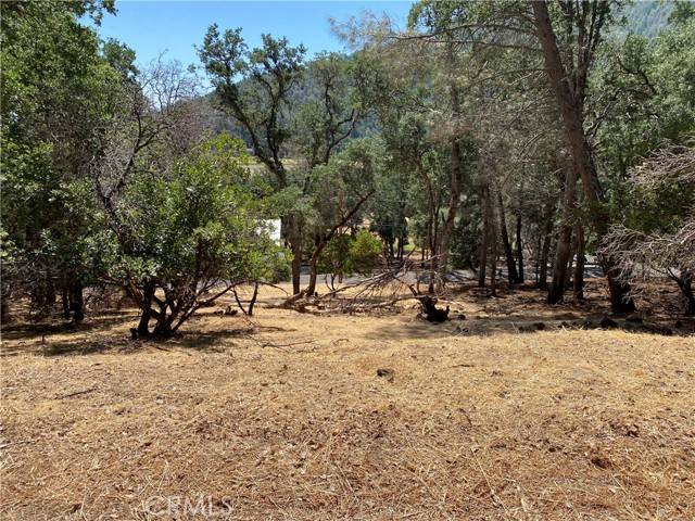 Kelseyville, CA 95451,2671 Greenway DR