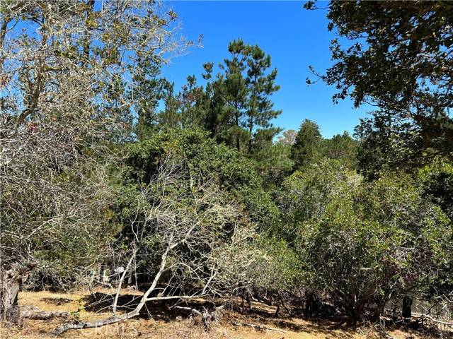 Cambria, CA 93428,0 Melrose AVE