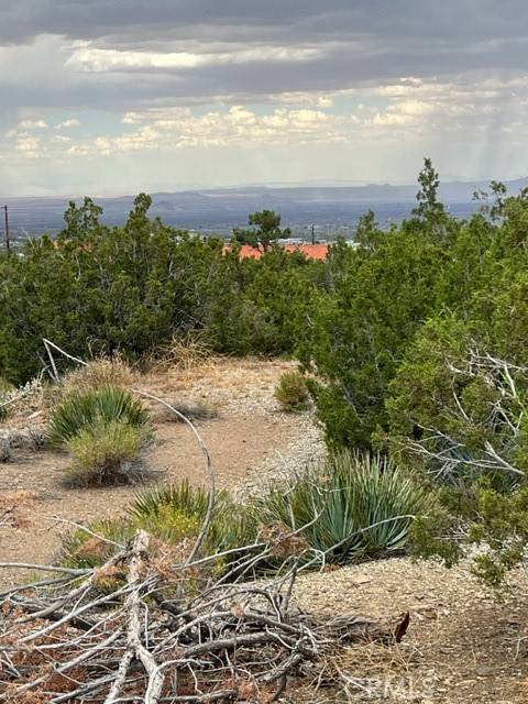 Pinon Hills, CA 92372,2760 Snow Line DR